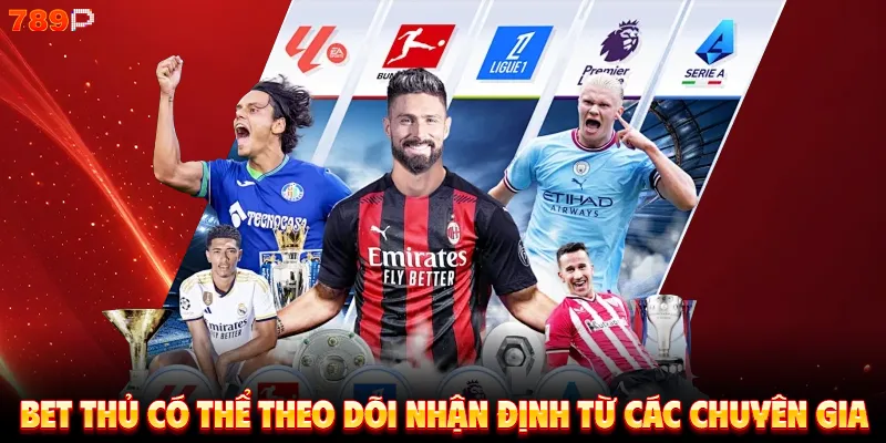 Bet thủ có thể theo dõi nhận định từ các chuyên gia 